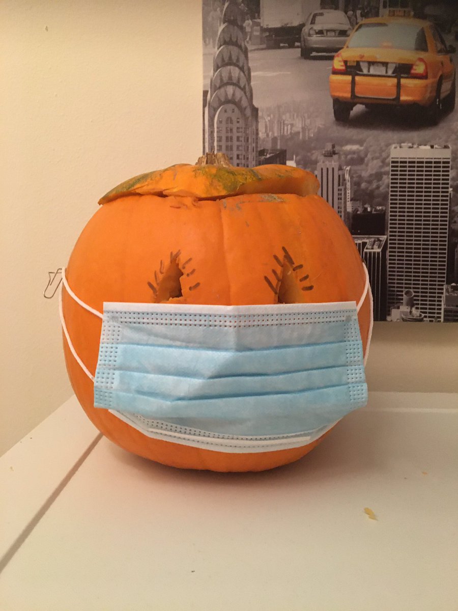 TravelsKoala's tweet photo. My 2020 pumpkin https://t.co/EIAUvhVBQ6