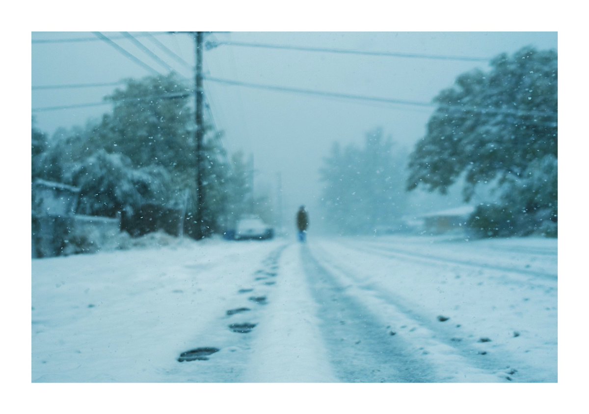 crspcarpenter's tweet photo. Yesterday during the first snowfall of the year. #fujifilm #x100v https://t.co/2Jpgc064QL