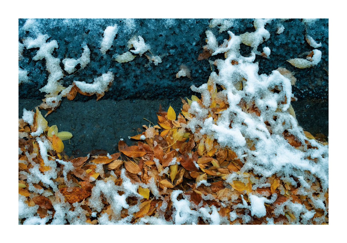 crspcarpenter's tweet photo. Yesterday during the first snowfall of the year. #fujifilm #x100v https://t.co/2Jpgc064QL