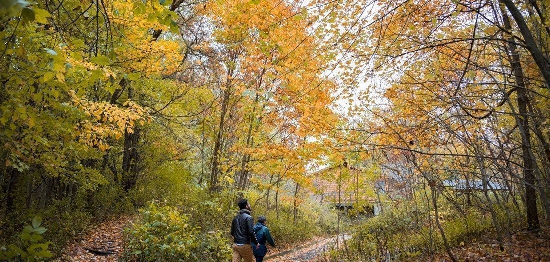 VisitIndiana's tweet photo. Isn't fall in Indiana just great? @visitsouthbend is the perfect place to visit as the leaves change! We have 5 fall activities in The Bend you won't want to miss. β¬οΈπ
Read More: https://t.co/eTlmWCVl1d
#indiana #fall #southbend #INFallRoadTrips https://t.co/kntrbupZPN