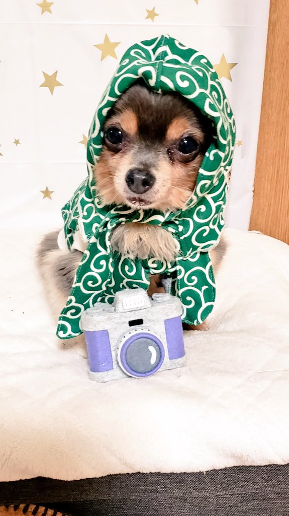 キャラソルジン Calasoljin Twitter