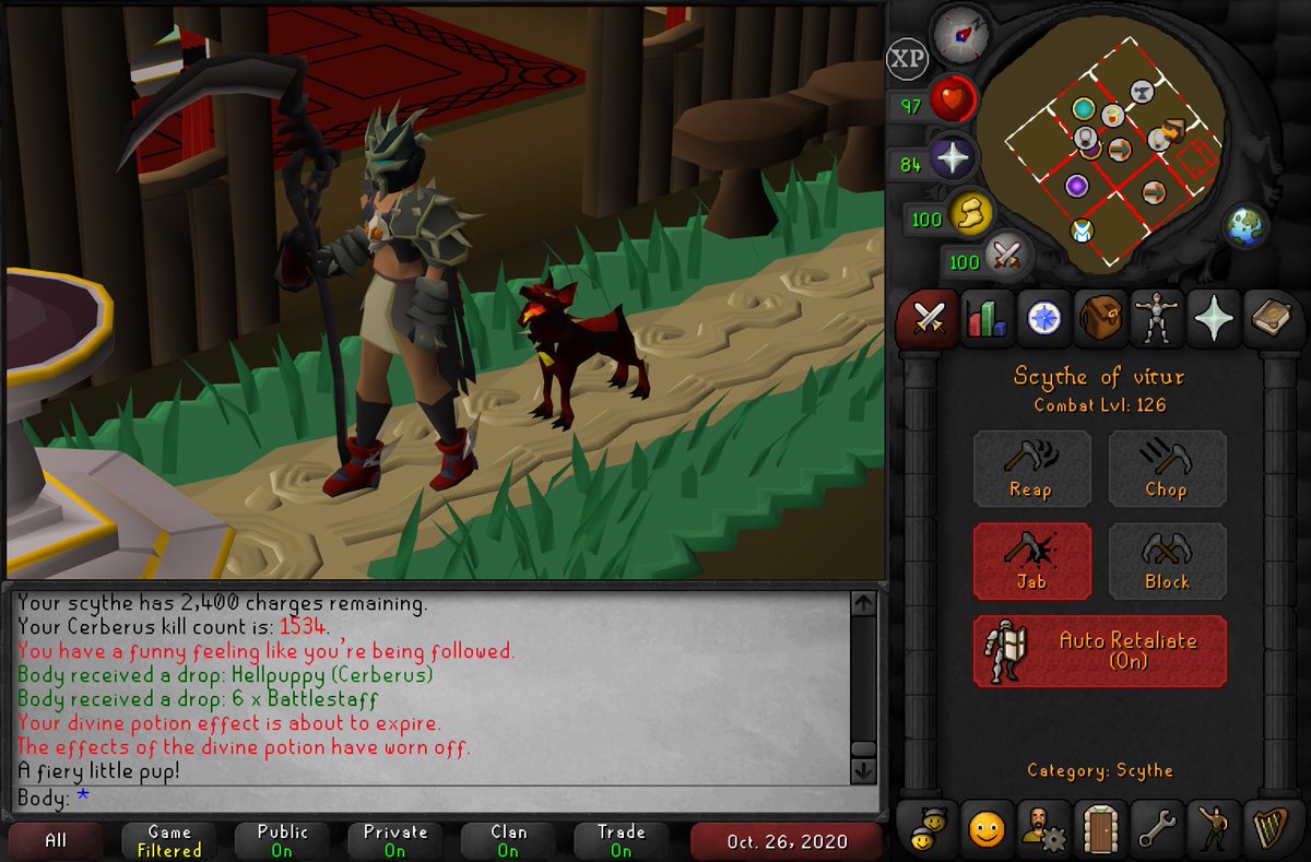 flows's tweet image. cerberus pet &amp;amp; log completed