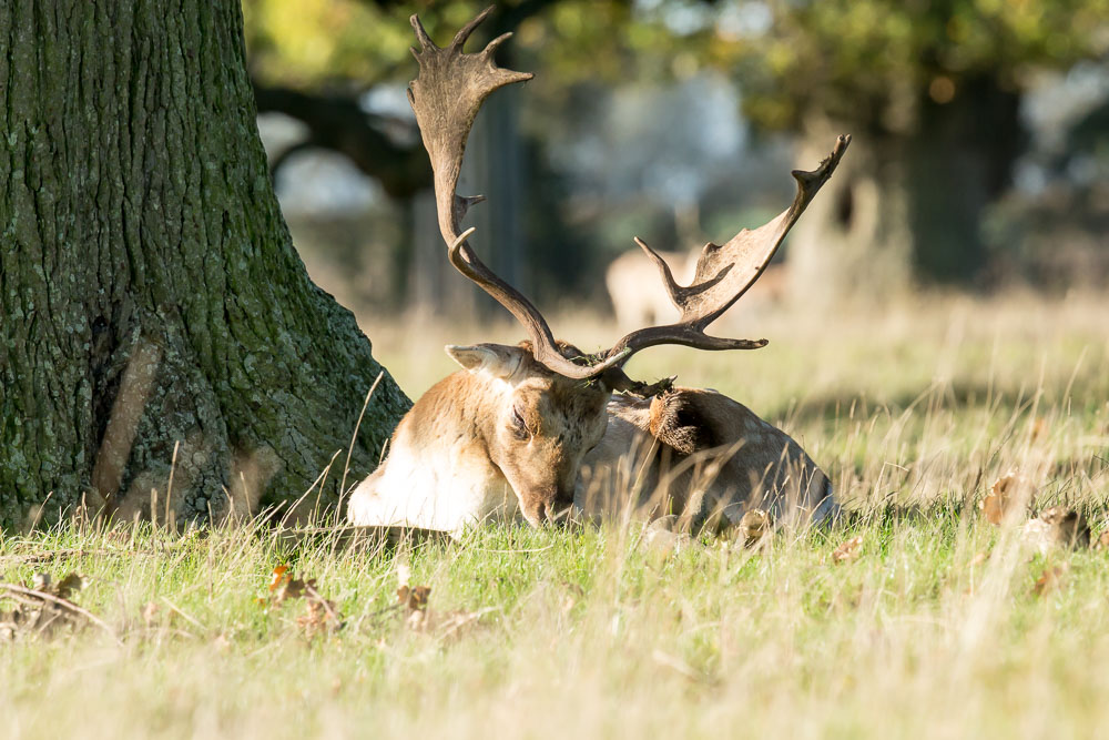 Simon Waters tweet media