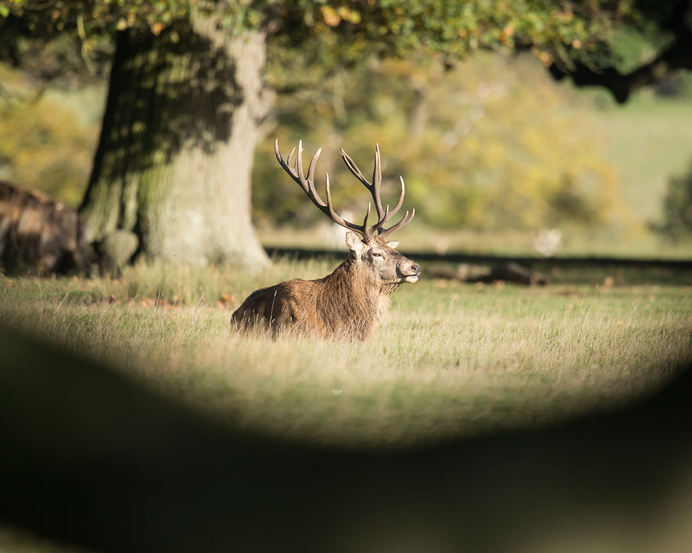 Simon Waters tweet media