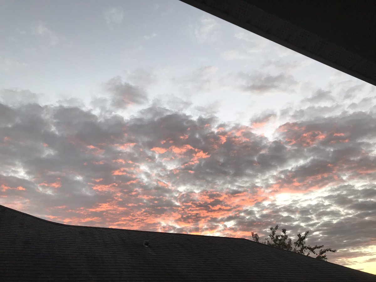 heather34786's tweet photo. @BobVanDillen Apopka, FL sunset https://t.co/N6ZnjbtZkL
