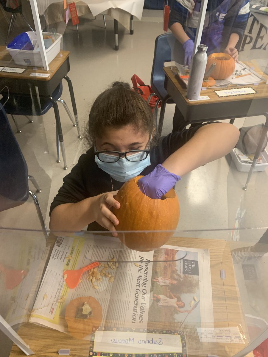 _s_callan's tweet photo. PUMPKIN WEEK IS HERE!!!🎃Room 203 had SO much fun opening up our pumpkins and investigating the inside! We learned about seeds and fibrous strands, and we even got a little messy! 🧡@BGreenSchool @emeadowschools #greathappenshere https://t.co/njptp3fkWI