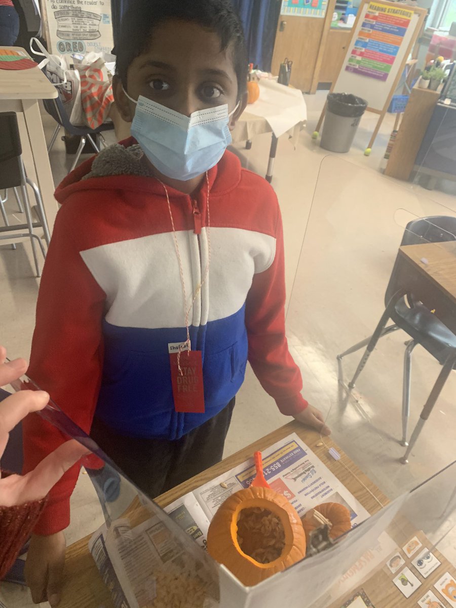 _s_callan's tweet photo. PUMPKIN WEEK IS HERE!!!🎃Room 203 had SO much fun opening up our pumpkins and investigating the inside! We learned about seeds and fibrous strands, and we even got a little messy! 🧡@BGreenSchool @emeadowschools #greathappenshere https://t.co/njptp3fkWI