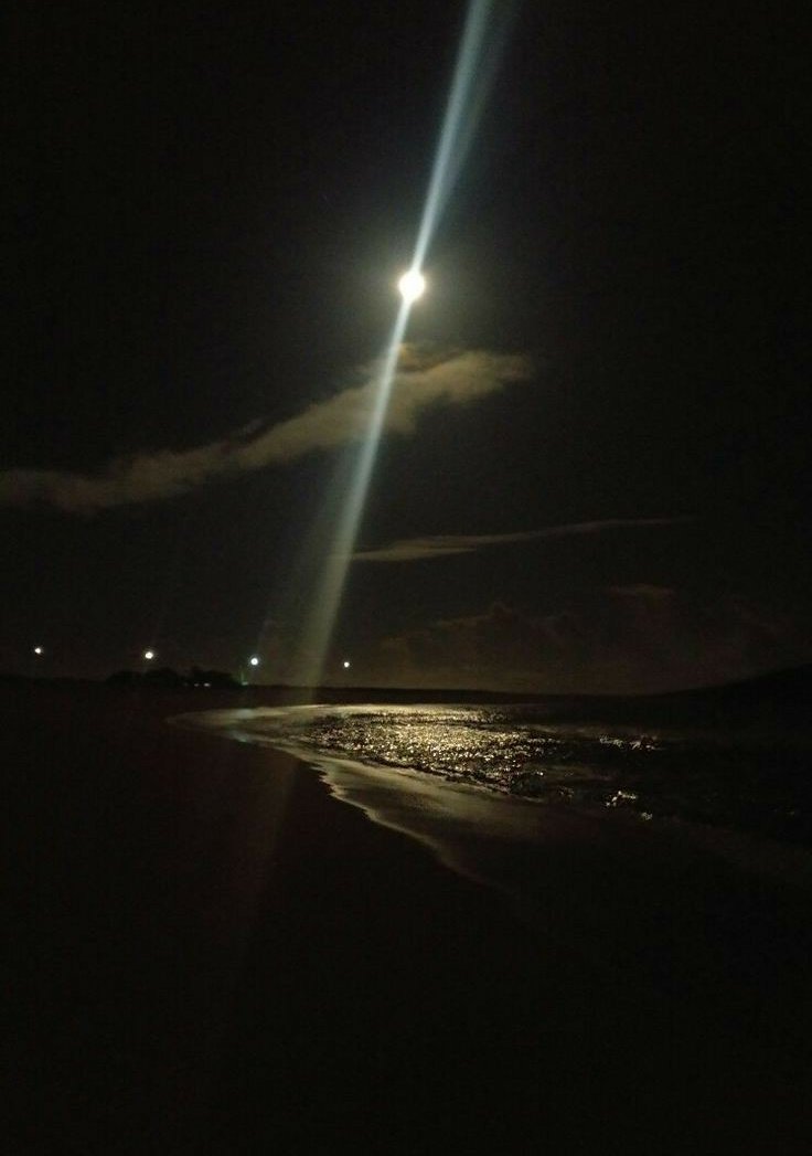 twnpilots's tweet image. ㅤ  ㅤ  ㅤ  ㅤ   
─┈ ＃ (α.)cıonα que o 𝘁𝗵𝗲 ㅤ  ㅤ𝗺𝘂𝗹𝗲𝗾𝘂𝗲𝘇 vαı encostαr 
٬ 𝗰𝗵𝗮𝗺𝗮 que é rαve nα prαıα ١ ⛱️
ㅤ  ㅤ