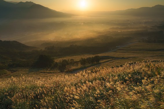 pashadelic's tweet photo. 「今日の写真」
撮影場所：日本 / 熊本県 / 南阿蘇村
by Kimihiko Horio

https://t.co/c3uHmiqD14

撮影場所やEXIFを知りたい方は上記のリンクをクリックしてください。

#PASHADELIC #Landscape #LandscapePhotography #PhotooftheDay #PotD #風景写真 #絶景 #今日の写真 https://t.co/gKDudqZTHq