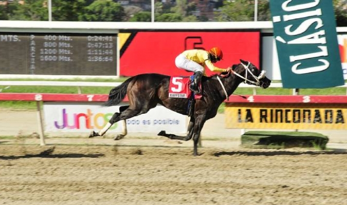 #Hipismo🇻🇪 Dos Clásicos y 10 carreras este domingo en #LaRinconada🏇🏆 bit.ly/3musiS1