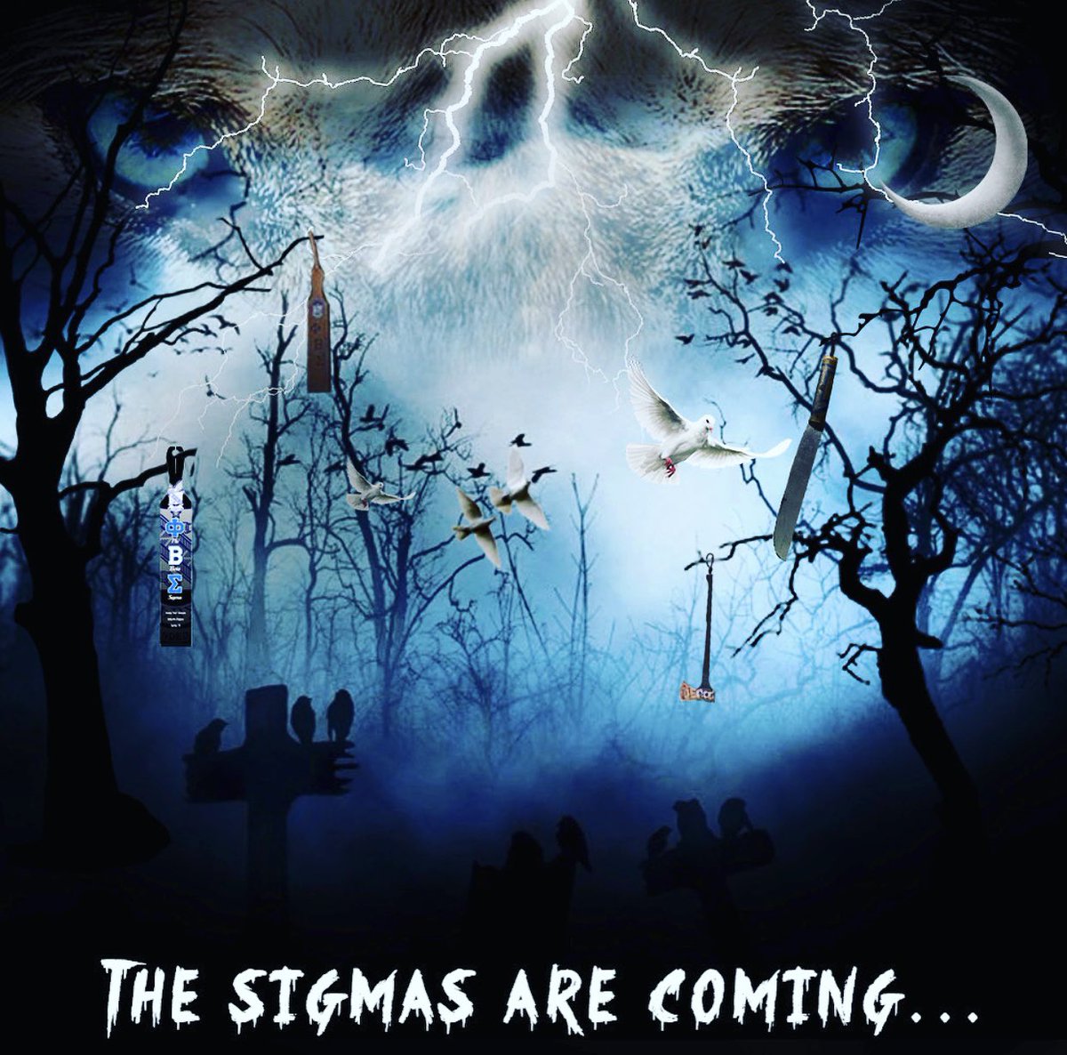 FSU Sigmas🕊 tweet media