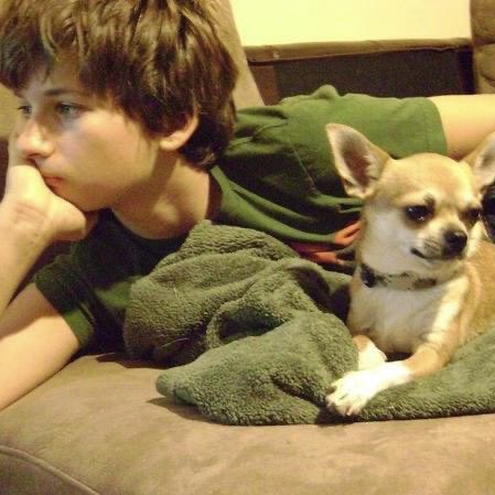 AliSilversmith's tweet image. He was delightfully naughty in his younger years, dragging a bird inside and murdering it in my new sheets, running from Will daily before middle school and physically getting inside trash cans somehow to rummage and earning his own hashtag #baddiesel