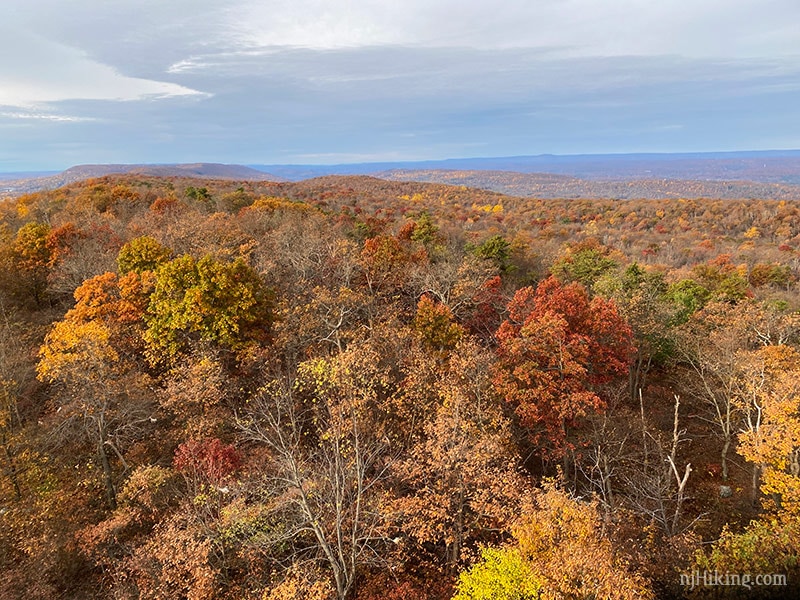 njhiking's tweet photo. Latest Fall Foliage report for the New Jersey is up. #njHiking #njFoliage #njFall #FallFoliage

https://t.co/slvqCs1bML https://t.co/W09jiKvOnh
