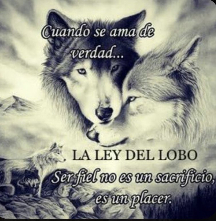 IrinaCristinaC3's tweet photo. #FrasesParaReflexionar #noteolvidesdeti #❤️ https://t.co/JHIc1zPx7r