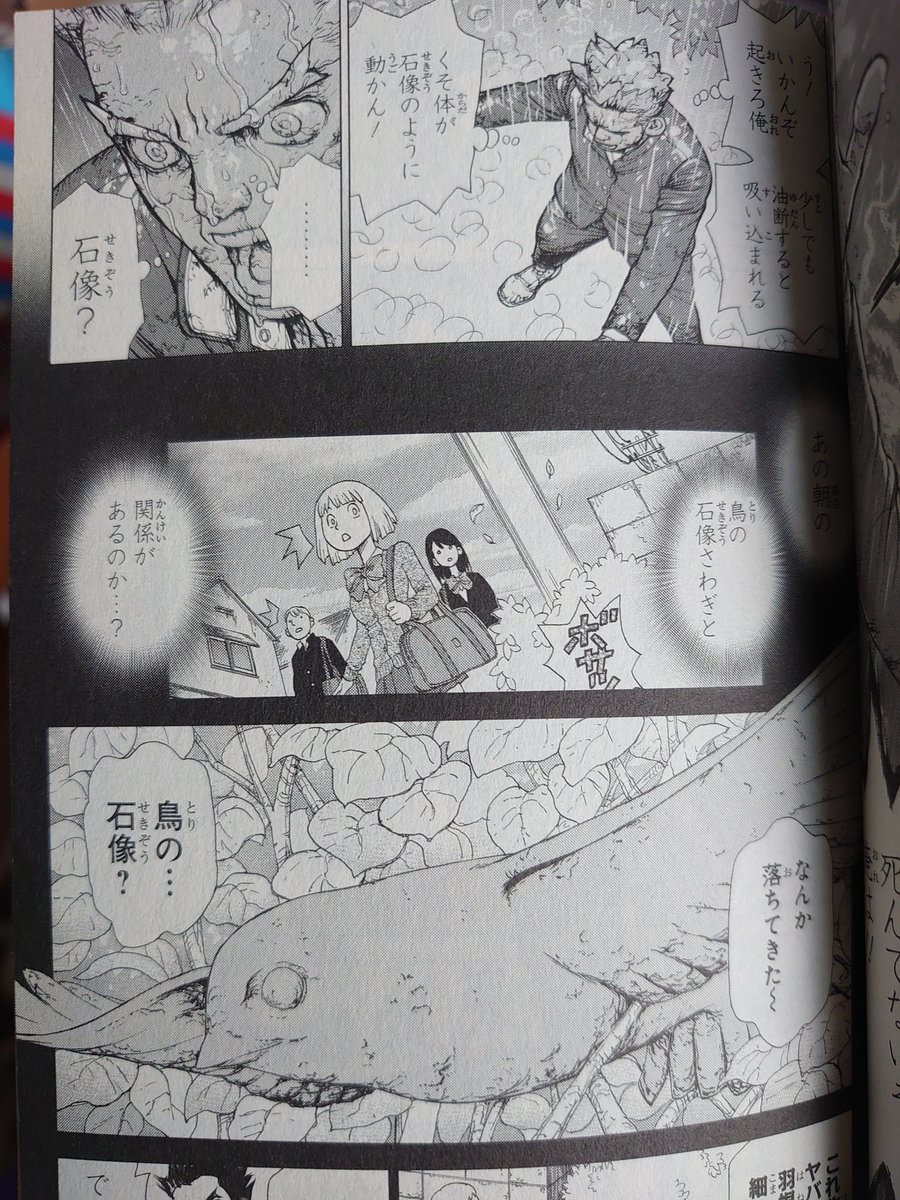 江田島 平七 Tren Twitter Drstone ドクターストーン 石化装置の名前の由来であろうギリシャ神話のメデューサは 目を見た者を石に変える ないしは石のように硬直させる 怪物なわけだし ペルセウスがそうしたように 目を見なければ石化はしない Dr Stone