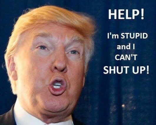 WingertTom's tweet photo. Only 8 Days left to #DumpChumpTrump https://t.co/M7M19qE4Yi