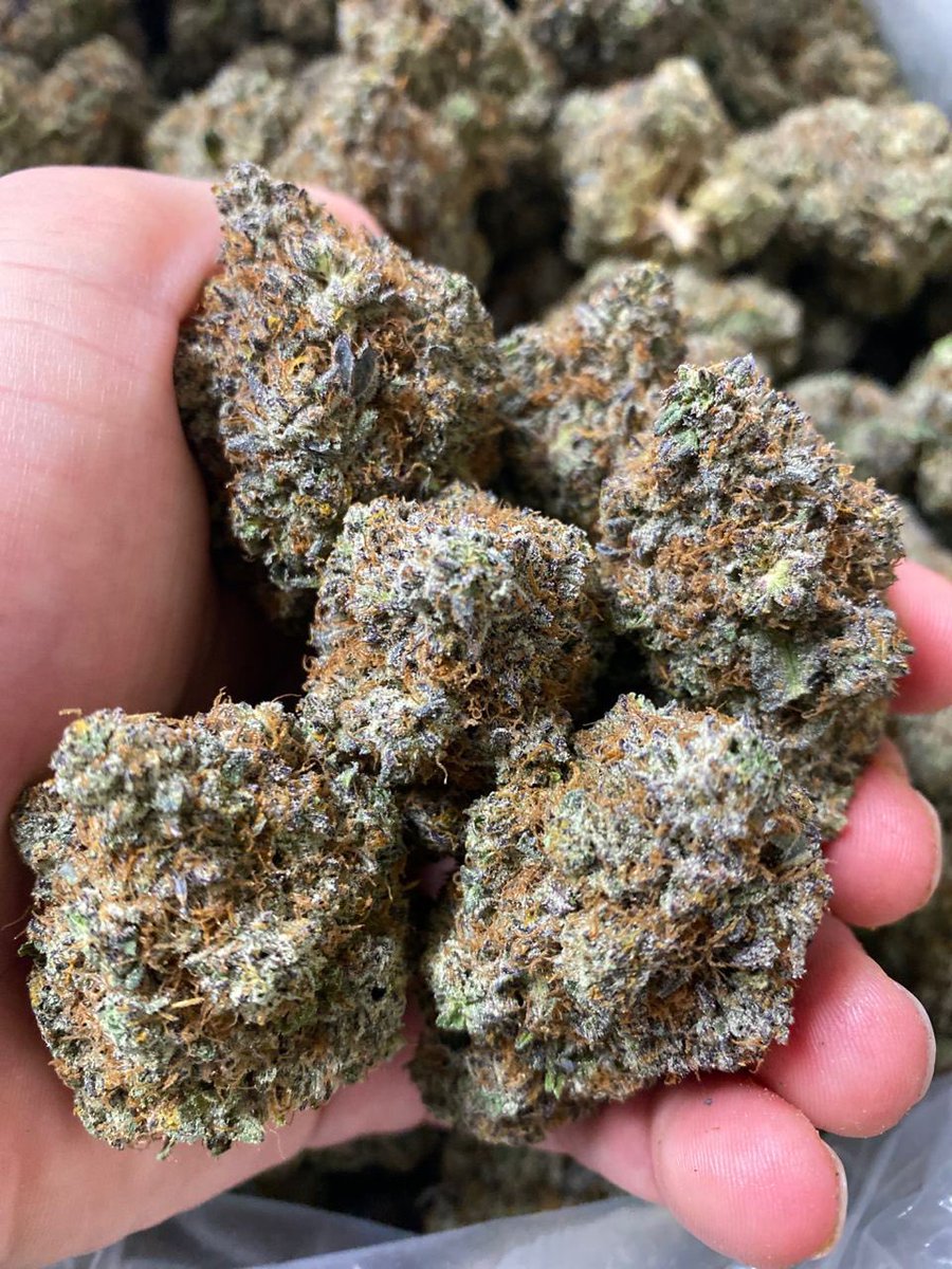 caligaspackplug's tweet photo. If you looking for a legit,trustworthy,reliable and consistent plug who got top quality buds at affordable prices hit my dm
#cannabislovers #cannabis #CannabisCommunity #weed #kush #berner #khalifa #50cent #weeddaily #marijuana #hightimesmagazine #medicalmarijuana #weedporn #cbc https://t.co/TtinrqwWMr