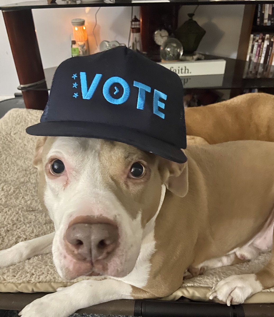 CarrieLMills's tweet photo. Cooper here to remind everyone to get out there and vote BLUE this year (especially for his fav pawlitician/namesake @RoyCooperNC ) #CooperforCooper #youthvote #ncpol https://t.co/DahzVS2cW2