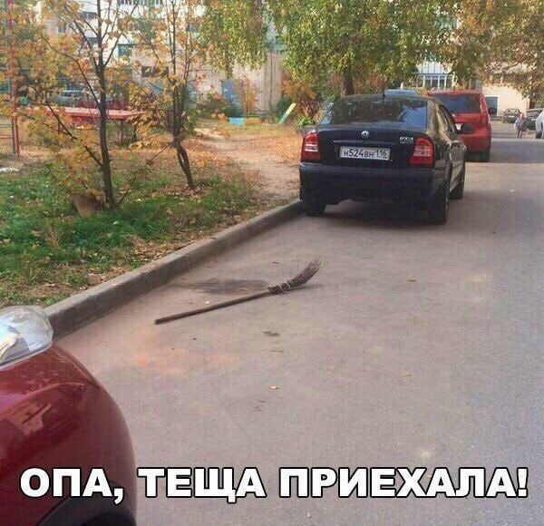 чтобы не плакать от моей современность-au с дедушками, представляю как деда Игорь отправляет открыточки и мемы Кеше в "Одноклассниках"