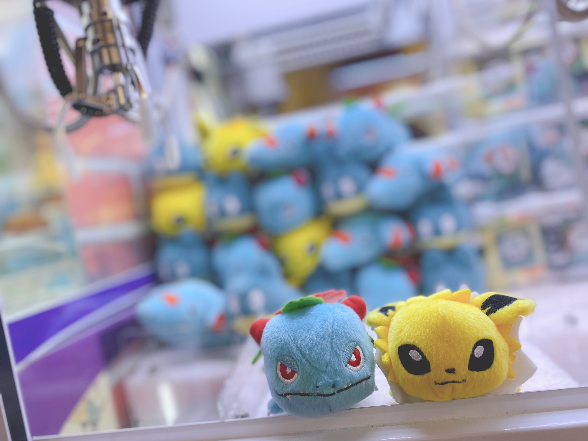 ドラマ下北沢 プライズ専門店 ポケットモンスター てにのるころりんフレンズぬいぐるみ フシギバナ サンダース ゴマゾウ ゴンベ 本日入荷致しました ポケットモンスター フシギバナ サンダース ゴマゾウ ゴンベ 下北沢 ゲーセン