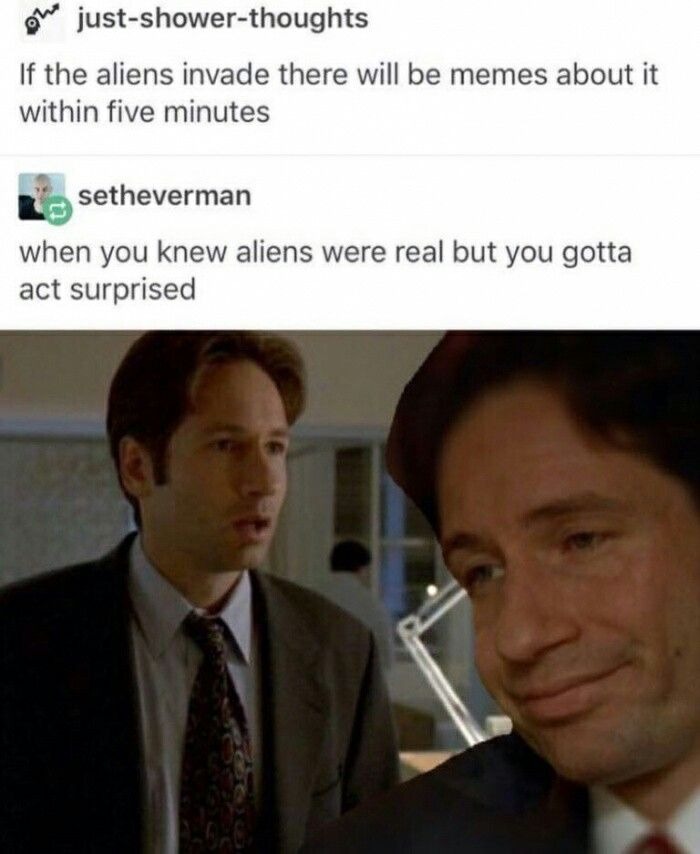 1013. there are surprisingly few x-files tumblr posts but I had to find some for this post obviously