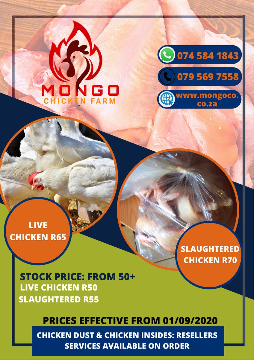 FarmMongo's tweet photo. Work now , celebrate later #WeAreMongo crate @150 order yours....live chickens resellers stock price @R48 https://t.co/amTfhGWVbJ