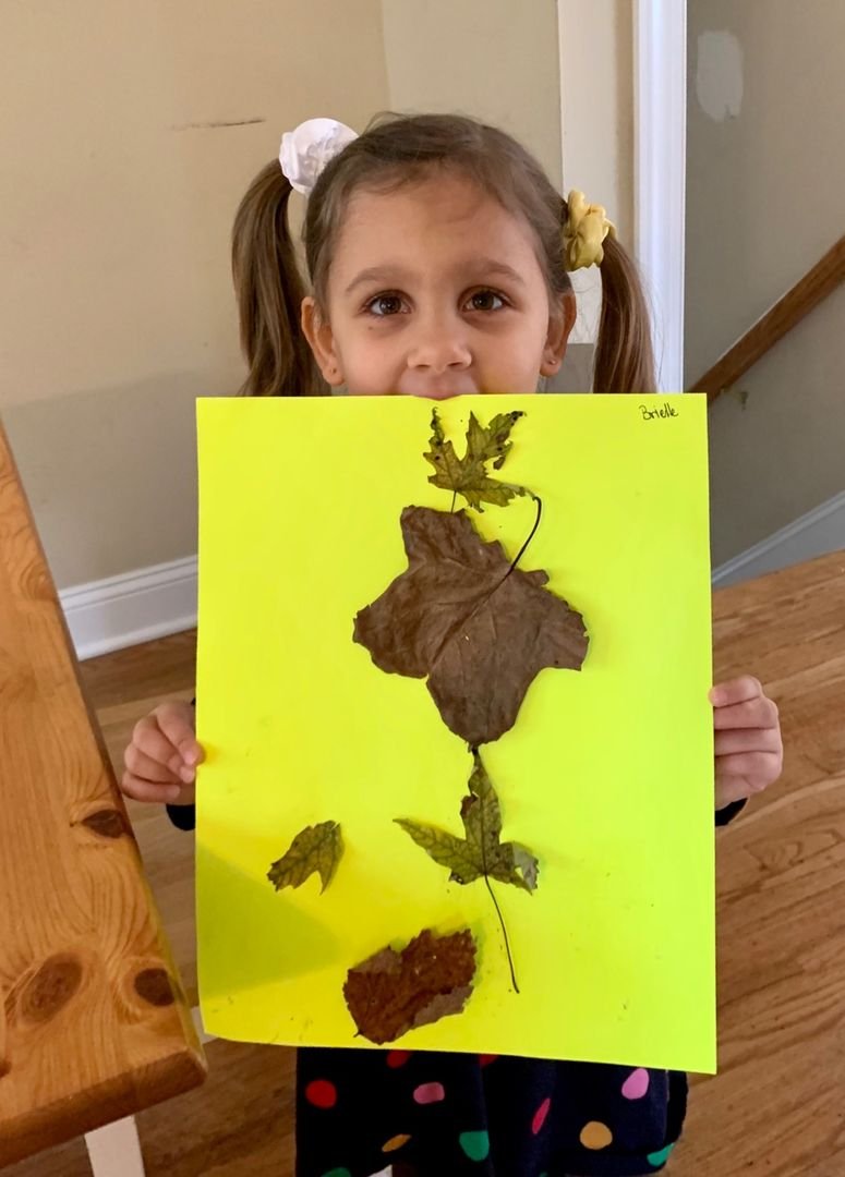 LionCubsMHSN's tweet photo. After listening to the stories "Going on a Leaf Hunt" and "Leaf Man" Preschool students created pictures with their leaves. #virtualpreschool #asynchronus @HSNPrincipal @MTPSArts @MTPSpride https://t.co/cwWyhx8HCL