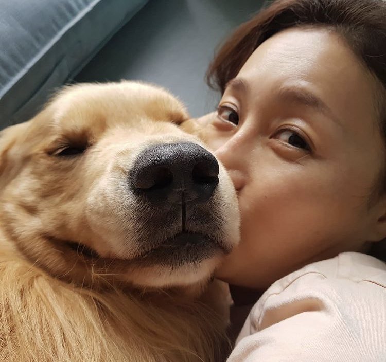 moon jeonghee  (jeonghee_moon) almost all dogs 10/10 instagram account