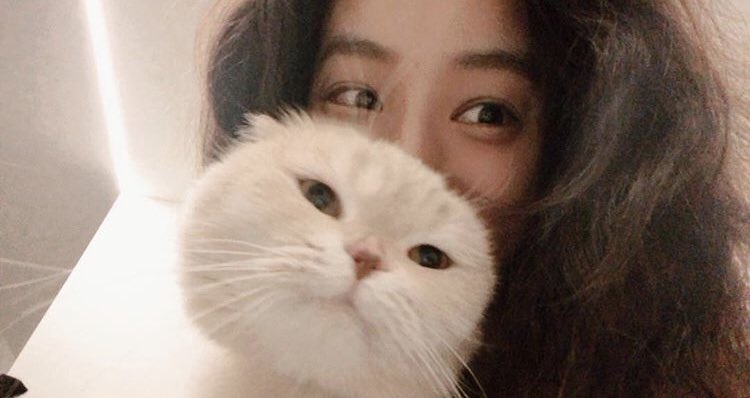 jung ryeowon  (yoanaloves) my wife and our cats