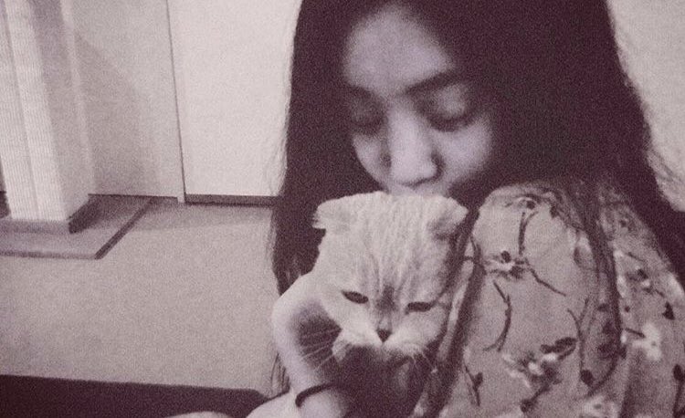 jung ryeowon  (yoanaloves) my wife and our cats
