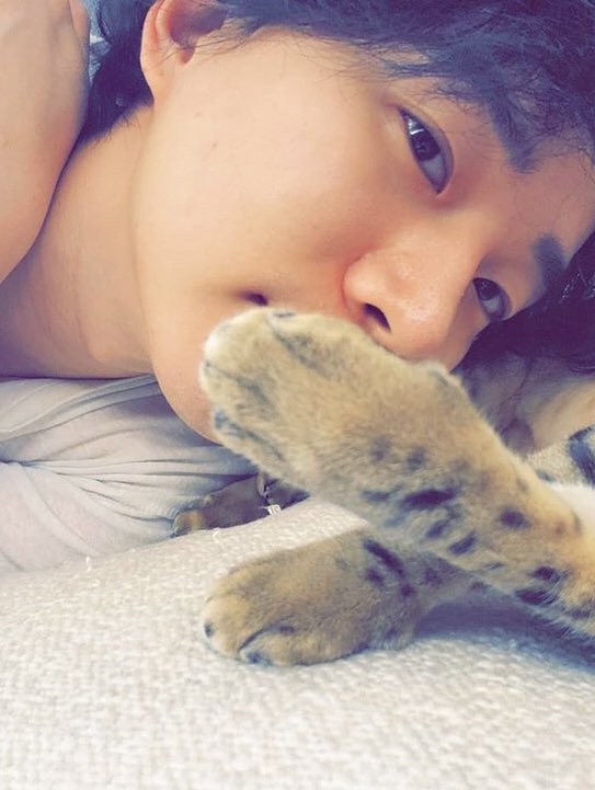 lee junho  (le2jh) reliable cat dad. ig wouldn't be the same without him