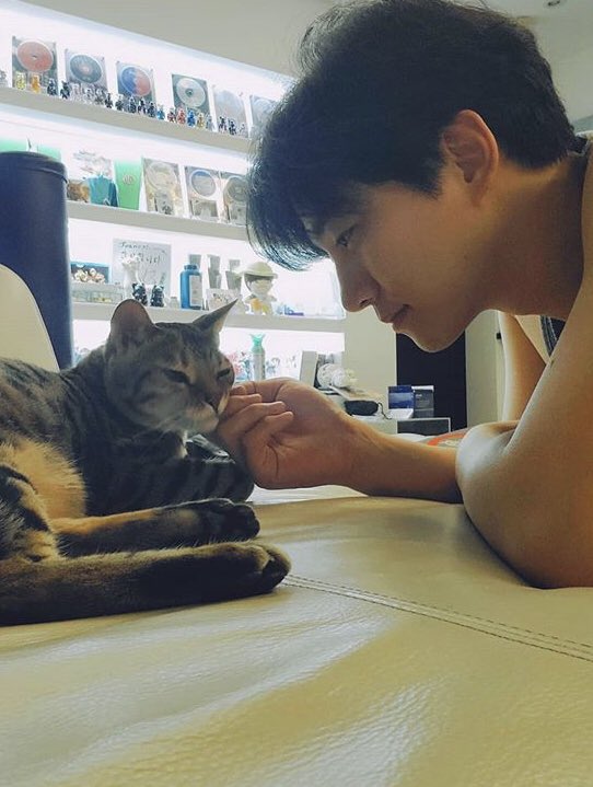 lee junho  (le2jh) reliable cat dad. ig wouldn't be the same without him