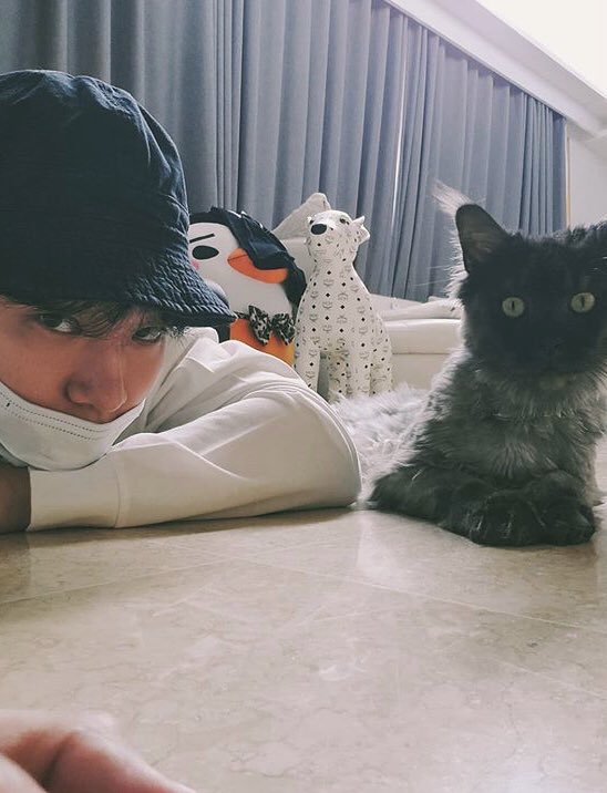 lee junho  (le2jh) reliable cat dad. ig wouldn't be the same without him