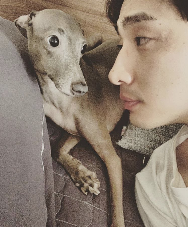 yoon park  (yoon.bak) yoon bark king of posting dogs (his dog account is: jjongharmonyhappyyoonibagi)