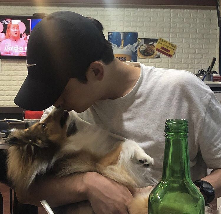 yoon park  (yoon.bak) yoon bark king of posting dogs (his dog account is: jjongharmonyhappyyoonibagi)