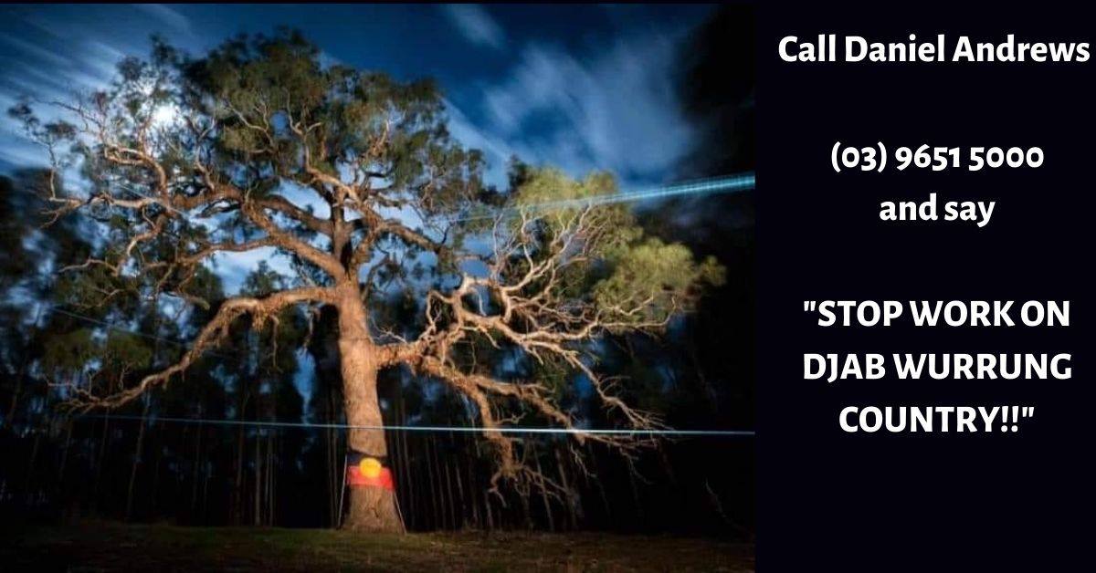 itstherealrl's tweet photo. How to help the Djab Wurrung people from home:

https://t.co/eJ22AYyavY

#DjabWurrungTrees #DjabWurrung https://t.co/yYUuRL7uS8