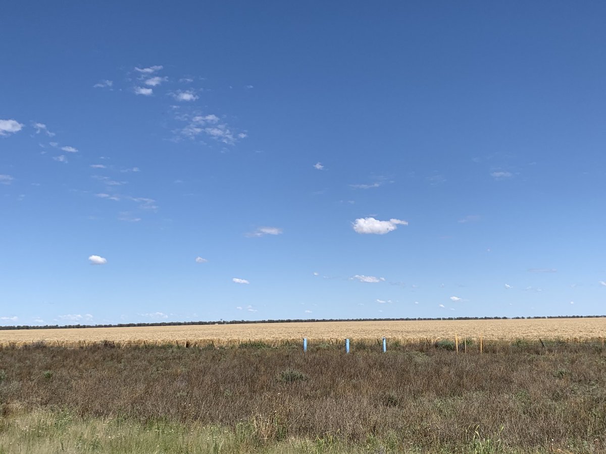 traceymtay's tweet photo. Bit flat out here. Beautiful big skies β€οΈ #burrenjunction https://t.co/EqAEqznlbn