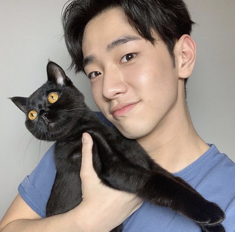 nam yoonsoo  (nam_yoonsu) runs an impeccable cat instagram acct chacha__bobo