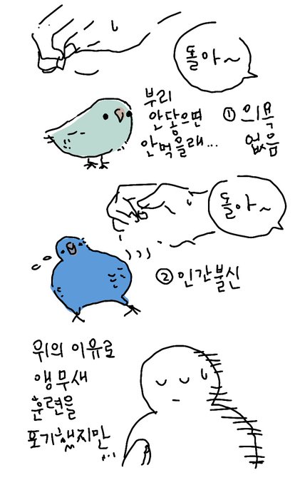 천재새Bird 꽃분이의 새New 개인기 