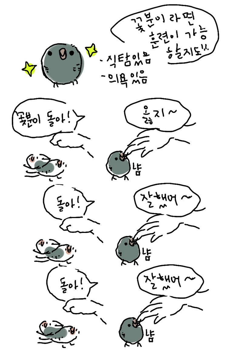 천재새Bird 꽃분이의 새New 개인기 