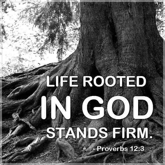 twalbald's tweet photo. Stand firm in these trying times. https://t.co/wsOmJk3xho