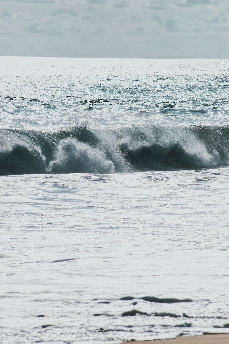DanielCarranza_'s tweet photo. 🌊 #Acapulco https://t.co/aWv2ua17bd