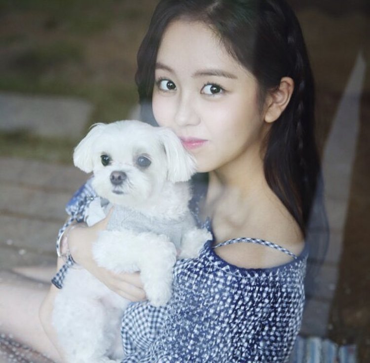 kim sohyun  (wow_kimsohyun) generous on her personal account w dog pics and also on her dog acct (mongsuk2_)