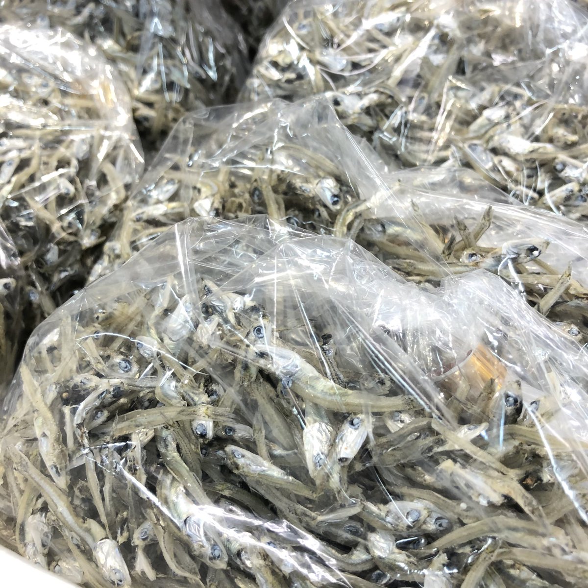 東久留米卸売市場 公式 おはようございます 本日は 丸正 さんより 宮城県閖上産の かえりちりめん と銀鮭はらす 豆 アジ干物 あんこう煮こごりをご紹介します かえりちりめんとはちりめんじゃこより少し大きめのちりめん イワシの稚魚 です