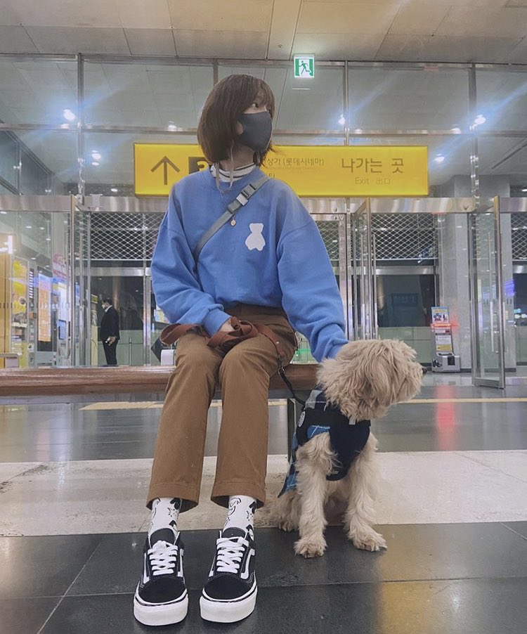 lee chohee  (chodzm2) pet friendly in general. puppy account is overwhelmingly cute (with_chodzm2)