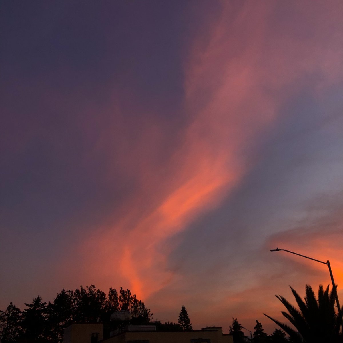 jquirozlrf's tweet photo. Amo las nubes #sky #clouds #sunset #atardecer #nubes #cielo #doyouremeber #autumn https://t.co/l6YCCgC3qn