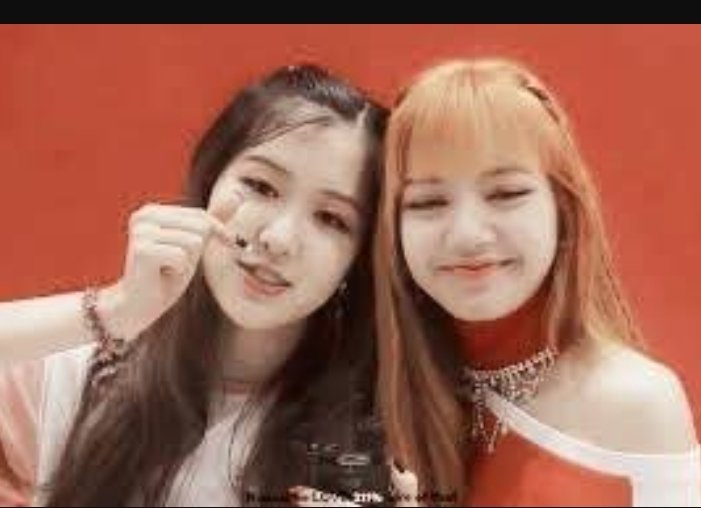 Lilies.. when we are worried about Lisa not posting.. who posted a video of Lisa? Who does Lisa wants to go to lunch with during her free time? Who does Lisa fights often and loves at the same time?Yes.. Its Rosé.