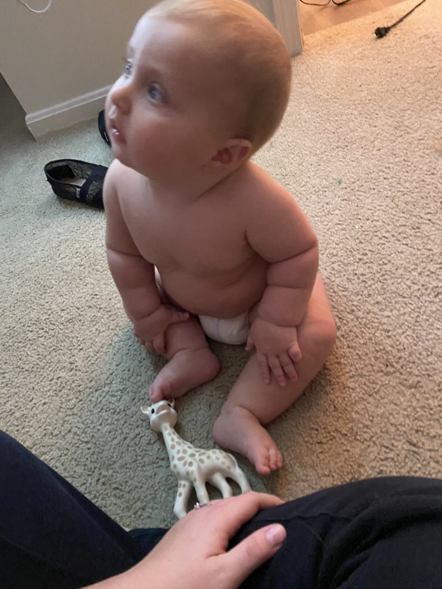 lexcshel's tweet photo. Update on my mini https://t.co/G4OuwCh4Mq