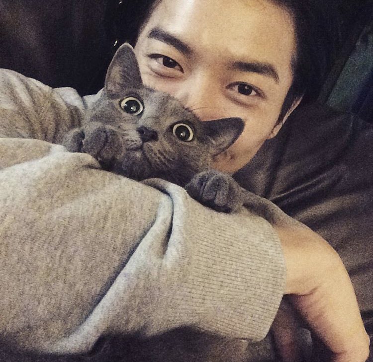 kim jaewook   ( http://jaeuck.kim ) ended the war between cats and dogs. interspecies diplomat!!!