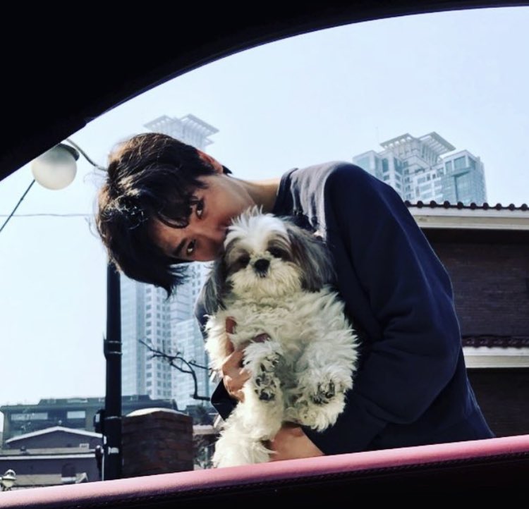 kim jaewook   ( http://jaeuck.kim ) ended the war between cats and dogs. interspecies diplomat!!!